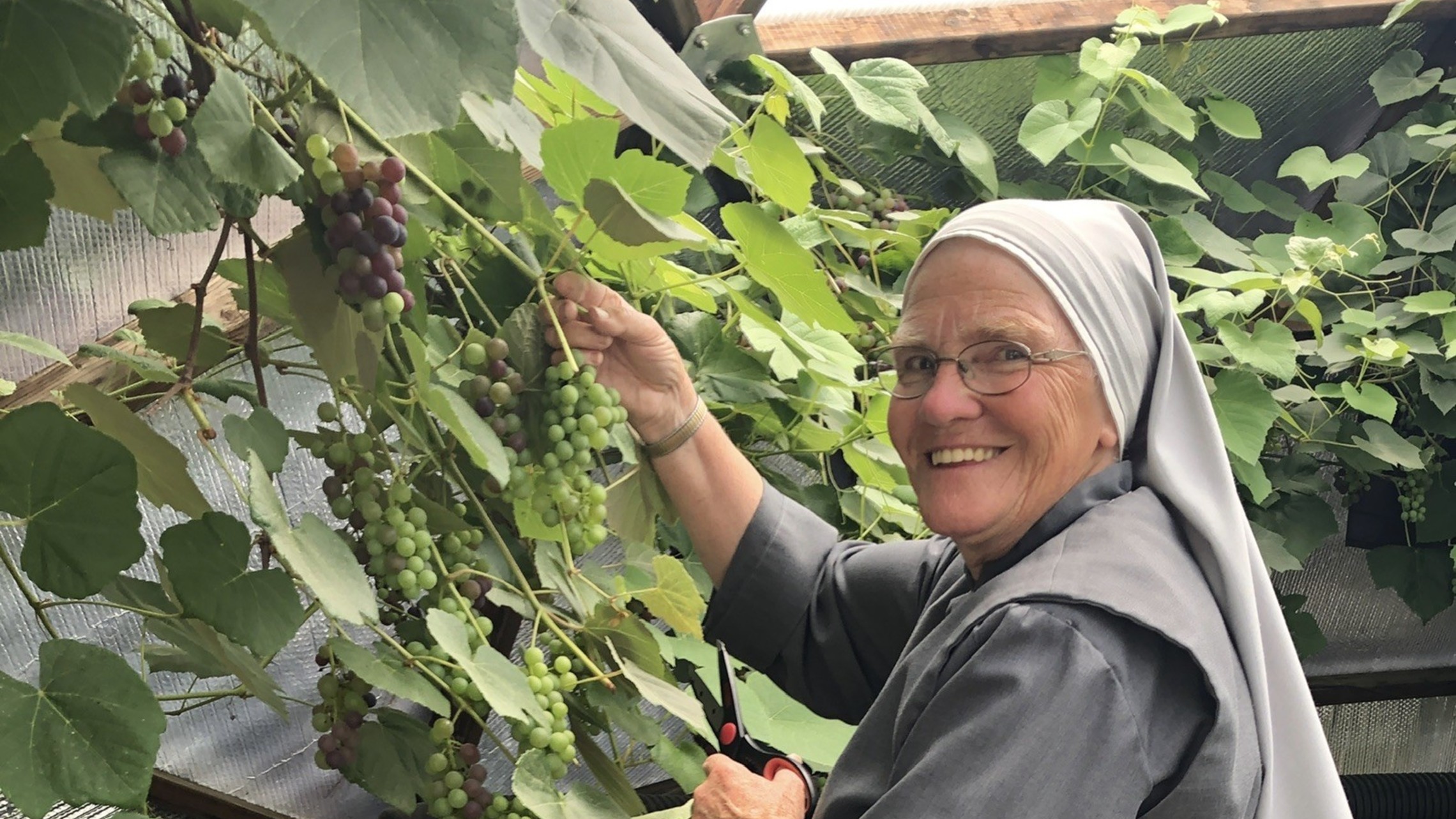 E351f796 3b15 449d B5ba 2f4aac1f61dc Sr. Emmanuel Schmidt