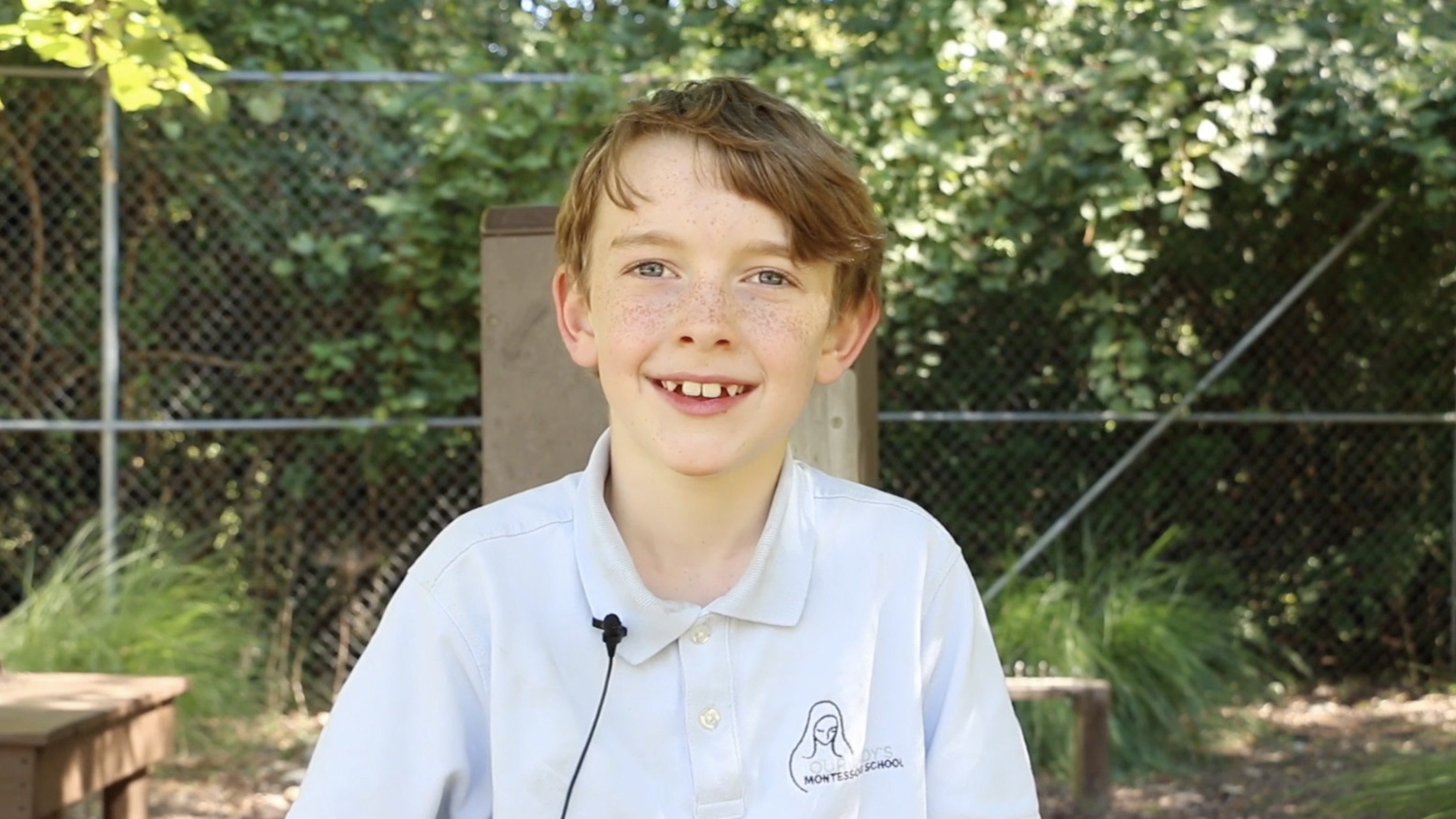 Olms Video Pic