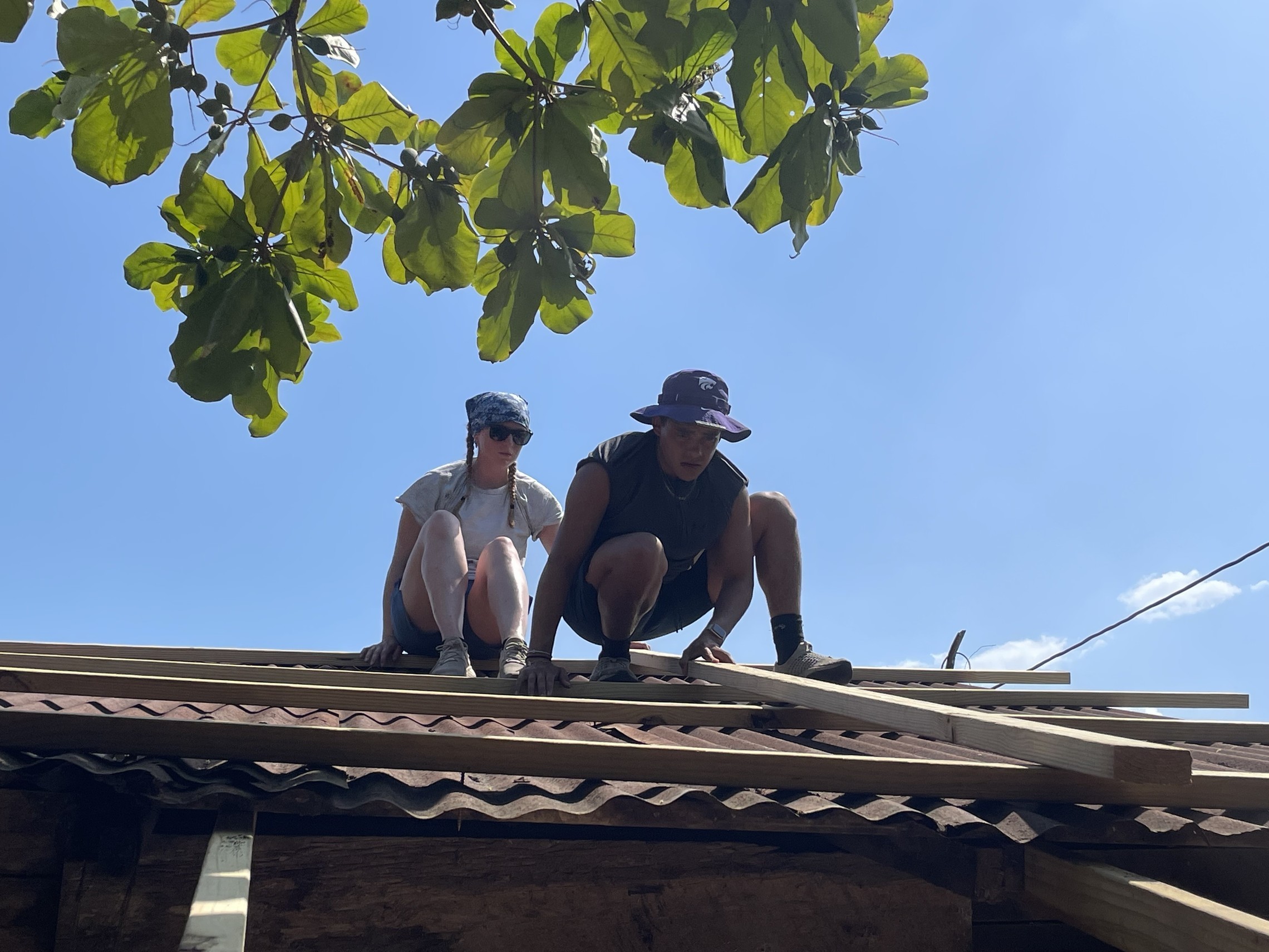 Img 3613